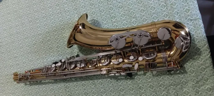 Sax tenor (HOYDEN)