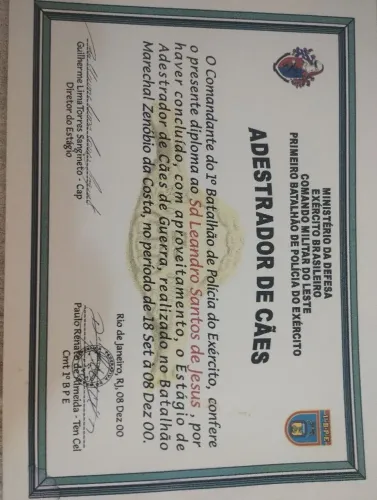 Adestrador de cães 