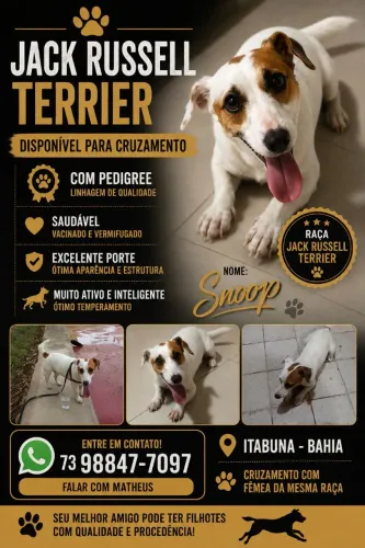 Cruzamento