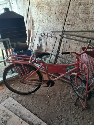 Bicicleta Cargueira 