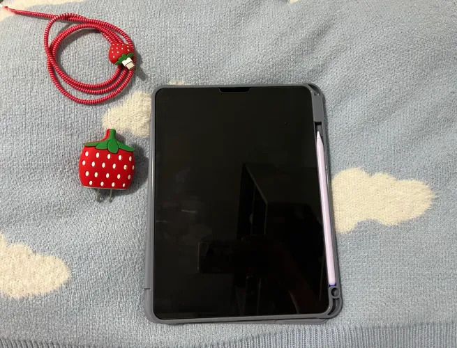 Ipad Air - 256 Gb
