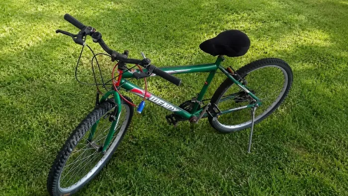 BICICLETA WENDY