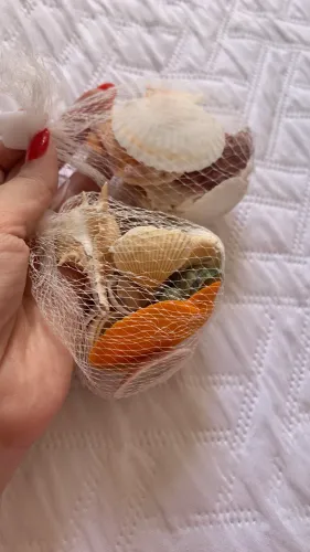 Kit conchas do mar  para artesanato ou decoração 