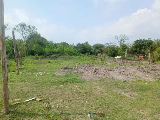 Terreno plano ! Prados verdes