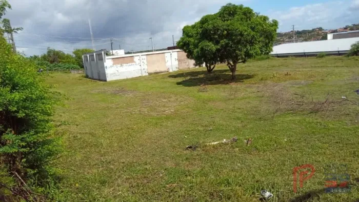 Terreno à venda, 8.607 m² por R$ 1.500.000,00 - Sítio Leal - São Luís/MA
