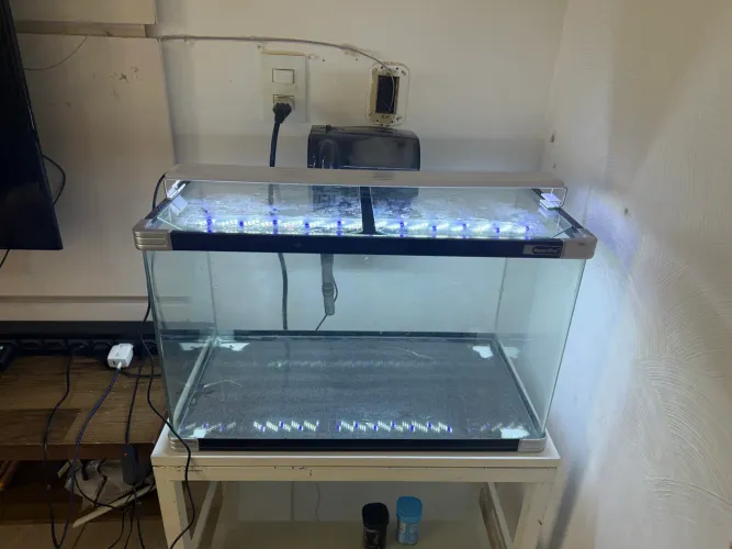 Vendo aquário completo 80 litros 
