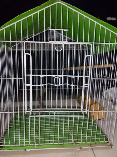 Gaiola de passarinho 