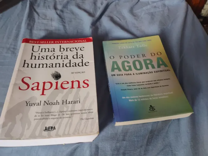 Uma breve história da humanidade Sapiens e O  Poder do Agora 