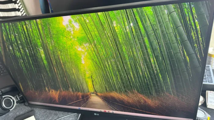 Monitor LG 27 tela ips FullHD