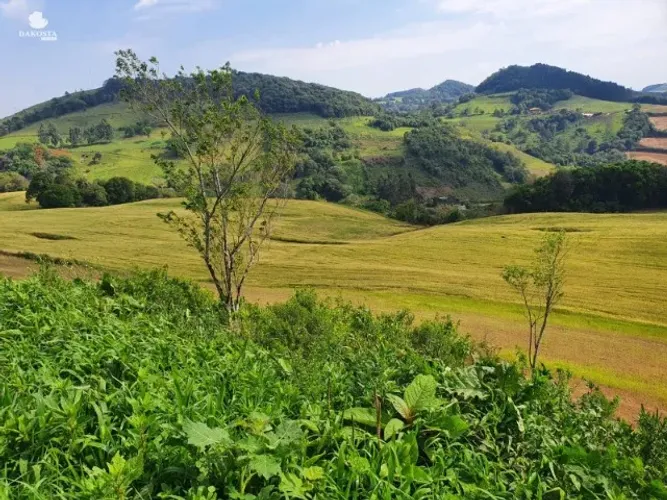 11.66 alqueires Excelente propriedade rural pra venda Porteira Fechada