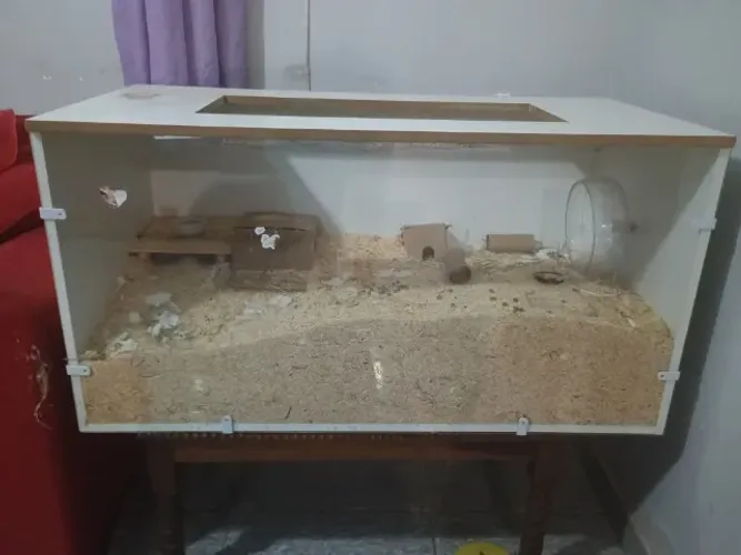 Terrário para Hamster 1x1,5m em MDF com Vidro - Grande e Bem Conservado