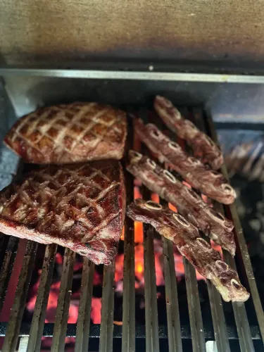 Churrasco profissional 
