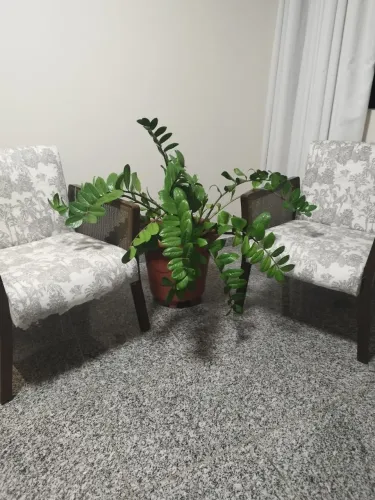 Poltronas para decoração