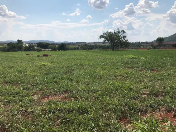 Lote Sítio Talismã