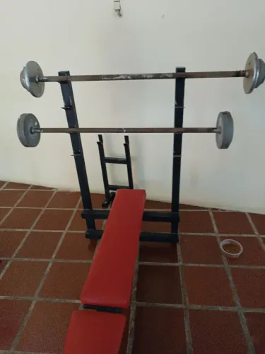 Banco supino reclinável e dois dumbells montados