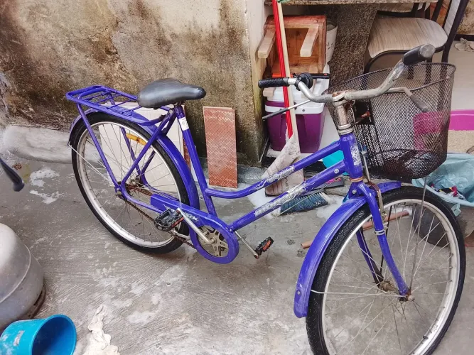Bicicleta Monark Roxa