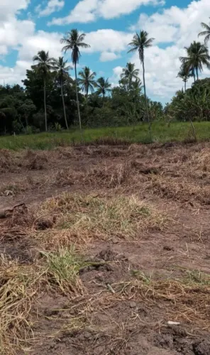Lote Salvadorzinho - Itaporanga