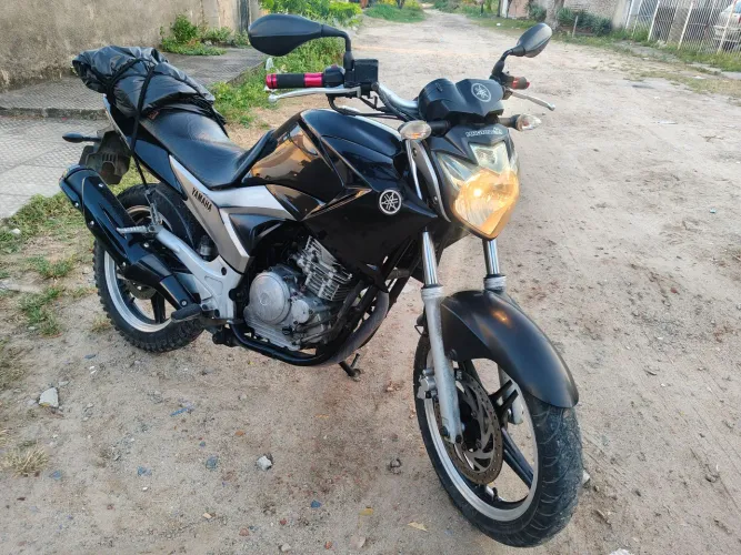 Feizer 250 2015
