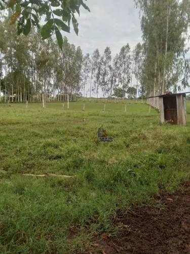 Sítio com 1 dormitório à venda, 363000 m² - Sumaúma - Urupá/RO