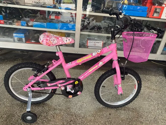 Bicicleta Samy infantil aro 16 feminina - personagens 