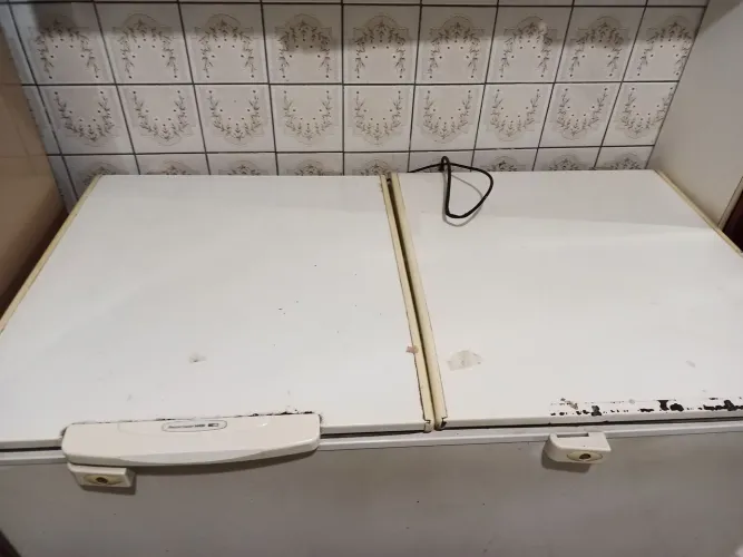 Congelador dupla ação