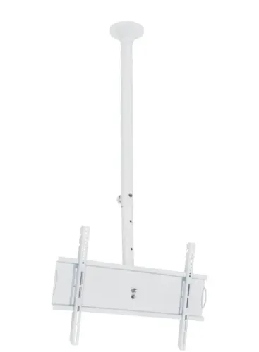 Suporte de teto p/ TV 32"-65" Multivisão