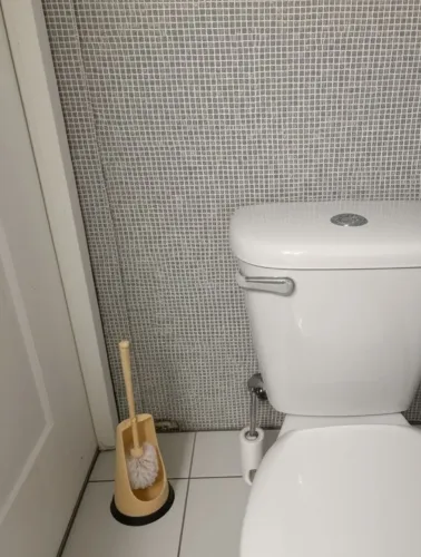 Escova sanitaria para o seu banheiro !!!