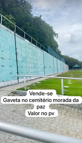 Gaveta morada da paz
