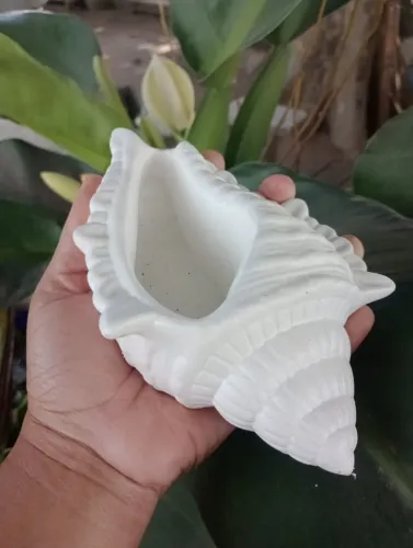 Peças Decorativa - Ideal para Jardim, Pousada e Área Externa