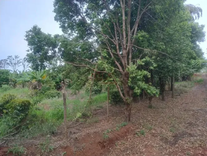 Lote / Terreno / Iguatemi / fazendinha da UEM