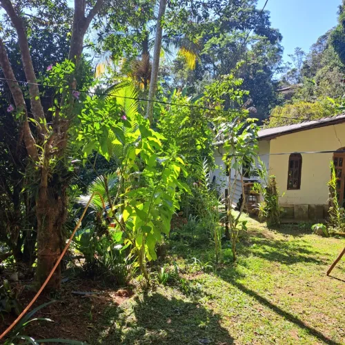 Vendo sítio em Marechal Floriano