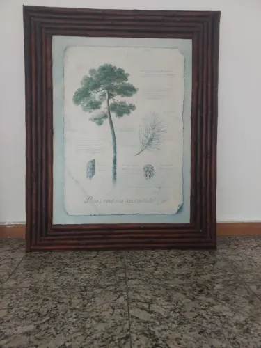 Quadro Moldura Madeira Rústico