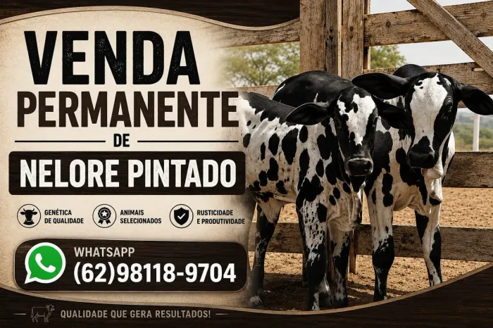 Nelore pintado