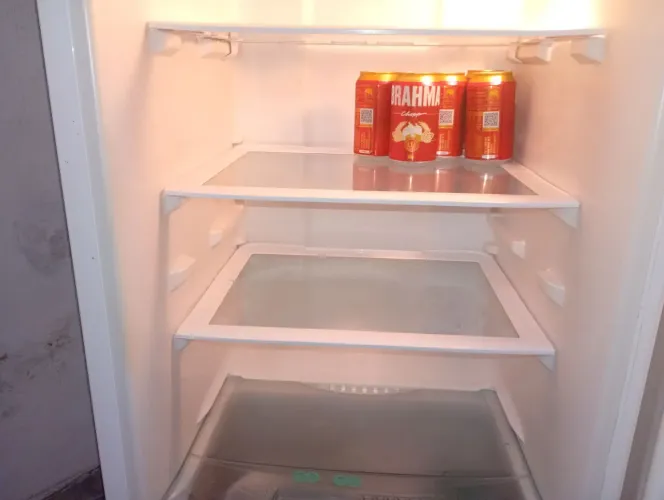Geladeira frios gelo seco 