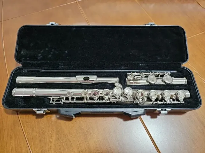 Flauta Transversal Eagle com Case