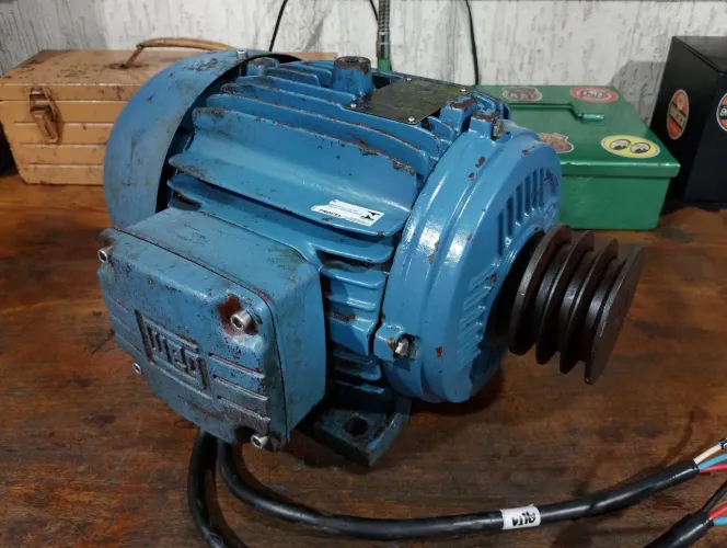 Motor trifásico
