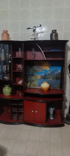 Estante em Mogno com porta de vidro fumê