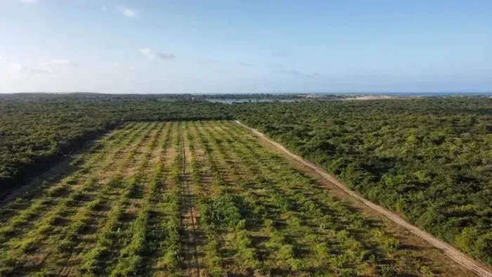 FAZENDA COM INVESTIMENTO. ÁREA TOTAL 17,15 hectares BEBERIBE-CE (85) 9 9987.04.49