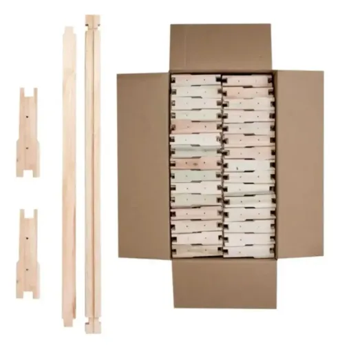 Quadro de abelha