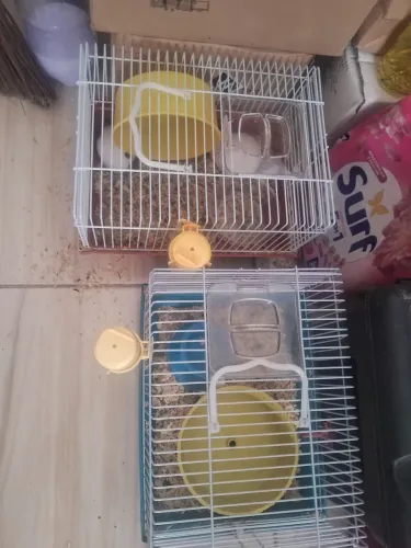 Vendo 2 Gaiolas de Hamster, completas