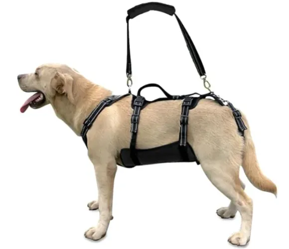 Colete (Peitoral) Ortopédico Coodeo XL para Cães Grandes - Seminovo