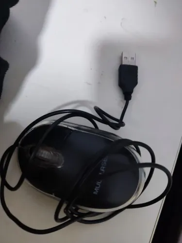 Mouse