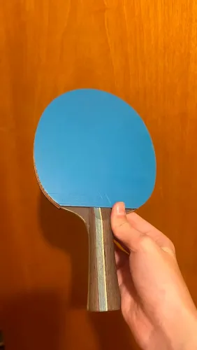 RAQUETE PROFISSIONAL, TÊNIS DE MESA, joola infinity balance