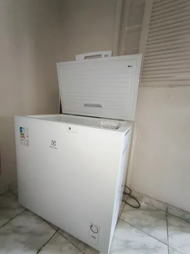 Freezer Eletrolux HE200 220v