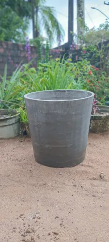 Jarros de plantas