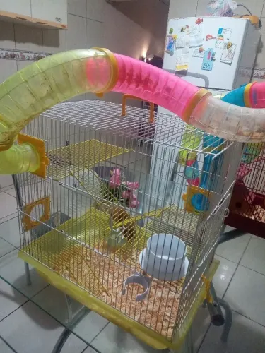 Vendo gaiola de hamster usada