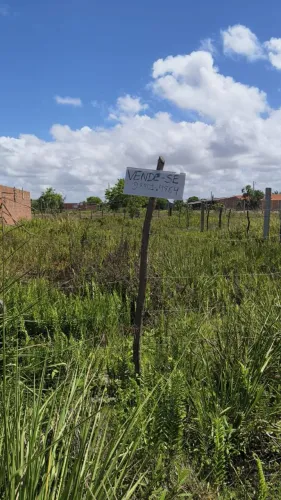 Terreno no loteamento trevo do Francês