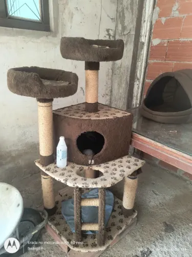 Apartamento para gatos usado