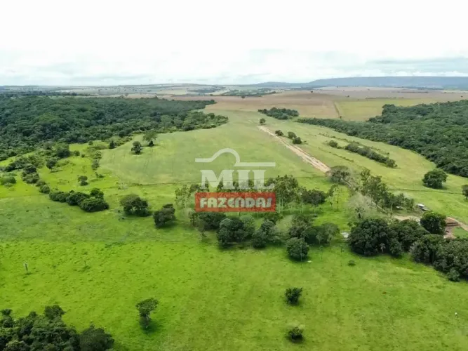 Fazenda 44 Alqueires (212,96 hectares) Caldas Novas - GO