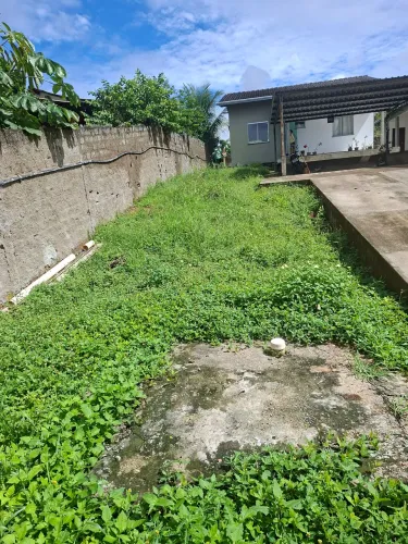 Limpeza geral com roçadeira 
